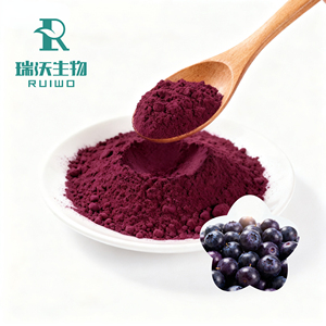 ビルベリーフルーツエキスアントシアニジンビルベリーエキスバルク - Product Image 3