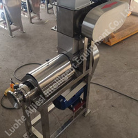 2025 Elektrische Appelfruitbreker En Juicer Multifunctionele Vers Industrieel Fruit Crush Sapmachine