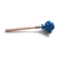 Thermocouple K-Type S-Type Capteur De Température Pt100 Rh Pt Type S Thermocouple Avec Tube En Céramique