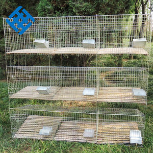 Jaula de malla de conejo con agujero cuadrado galvanizado Malla de alambre de hierro con precio de fábrica de China - Product Image 3