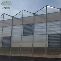 Serre à vendre avec couverture en plaques de polycarbonate de 8 mm