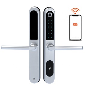 Serrure de <span class=keywords><strong>porte</strong></span> <span class=keywords><strong>à</strong></span> entrée sans <span class=keywords><strong>clé</strong></span>, serrure numérique intelligente Tuya App pour portail coulissant, serrure de <span class=keywords><strong>porte</strong></span> <span class=keywords><strong>à</strong></span> empreinte digitale pour portes en aluminium – Prix fabricant - Product Image 2
