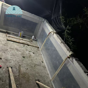 สระว่ายน้ำอะคริลิก TOMATO สำหรับงานภูมิสถาปัตยกรรมสมัยใหม่ พร้อมผนังสระใสและการติดตั้งตามสั่ง - Product Image 1