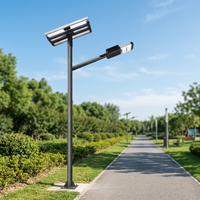 Lampadaire solaire LED 40W à haute luminosité en silicium monocristallin avec batterie LiFePO4, étanche IP66, en alliage d'aluminium