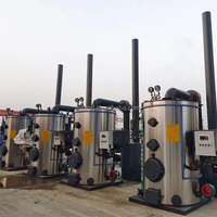 Nouveau générateur de vapeur basse pression industriel de 200 kg, 300 kg, 500 kg à biomasse de bois pour les écoles des Philippines
