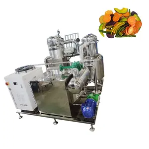 10kg Min Stainless Steel Vacuum Freeze Dryer Machine Vacuum Fryer