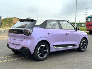 Piccola auto elettrica Dongfeng Nammi 01 2024 modello 330km versione Mini Car usata per i giovani - Product Image 6