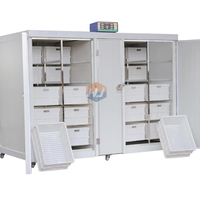 Machine automatique de culture de pousses de haricots pour usage commercial |   Équipement de germination de haricots noirs Mung de haute performance, composants PLC, 4 kW, 220 V