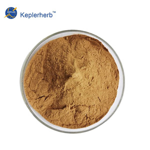 Extractos de Plantas Totalmente Naturales, Extracto de Agujas de Pino en Polvo 10:1, Muestra Gratuita de Extracto de Agujas de Pino para Compradores Mayoristas Globales - Product Image 3