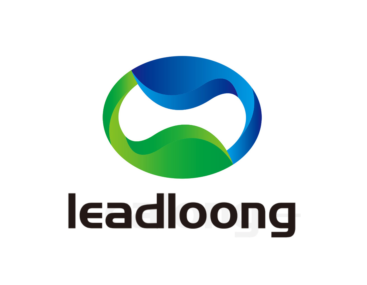 Shenzhen Leadloong Plastic Product Co., Ltd. logo
