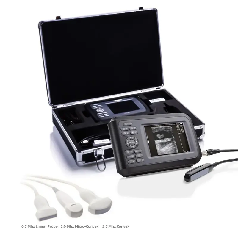 Smart F Vet Veterinary machine vet ultrasound handheld ultrasound used for animal pregnancy scan