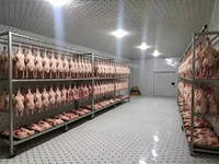 Chambre froide / Chambre froide modulaire / Congélateur / Salle froide pour fruits et légumes