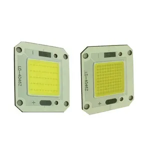 Bridgelux / Epistar LED Chip 110v 220v 10W 20W 30W 40W 50W 150W 100W 200W COB LED Module Driverless cob led