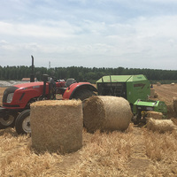 Machine pour balayer la paille rond, nouveau Type, bricolage, mise à niveau sur tracteur, Mini, pour sable