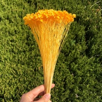 Bunga Bintang Kuning Every Love Bunga Bintang Kecil Kering Bunga DIY Bunga untuk Dekorasi Rumah