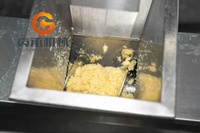 China Fabriek Prijs Goede Kwaliteit Compleet Vers Fruit Pulp Puree Productie Plant