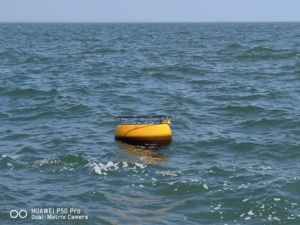 Phao Sóng 700Mm Có Cảm Biến - Product Image 3