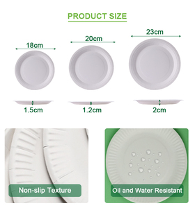 Plato de Papel Desechable para Restaurantes, Servicios de Comida para Llevar y la Industria Hotelera - Product Image 6