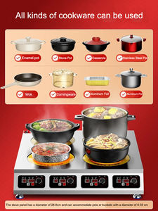 Edelstahl Elektrischer Hochleistungs-Infrarot-Keramikkocher mit 3500W und 2 Brennern für Gewerbliche Nutzung mit Microlite-Panel und Intelligenter Steuerung - Product Image 2