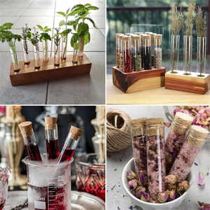 Laboratuar kullanımı borosilikat tüp cam şişe cam tüp mantar şekilli kapak cam silindir Test tüpü - Product Image 5