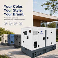 Groupe électrogène diesel Isuzu 20 kW, type silencieux, alimentation de secours d'urgence pour les petites entreprises