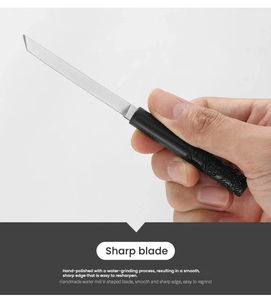 Couteau à fruits professionnel en acier inoxydable pour l'extérieur, couteau à viande pour usage domestique, haute dureté et tranchant, couteau de poche Dragon-Feng - Product Image 6