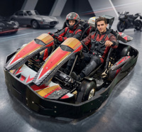 Go Kart de Carreras de Alta Calidad de 200cc, Motor de Gasolina de 4 Tiempos, Doble Asiento para Adultos, para Parques de Diversiones al Aire Libre