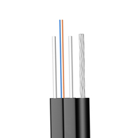 Kabel Drop Optik Udara FTTH 1-8 Inti Kawat Baja Terlapis Galvanis untuk Penyambungan Fiber ke Rumah (Outdoor)
