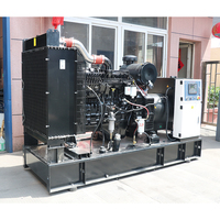 Grupo Electrógeno Diésel de 145/210/220kW 50/60Hz con Motor ATS Certificado CE y Arranque por CC para Muelles de Carga y Acuicultura