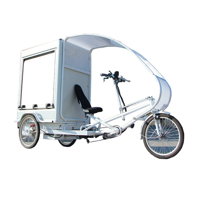 Triciclo elettrico omologato Ce cargo bike/velo taxi bicicletta in vendita in olandese