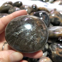 Nouveautés Pierre de lune noire naturelle Pierre de palmier en cristal pour guérir le Reiki