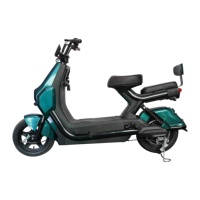 Vélo Électrique Urbain Longue Portée 48V 500W 14 Pouces à Moteur Arrière en Acier Carbone avec Fonctionnalités Électroniques et Batterie au Plomb – Vente Directe Usine