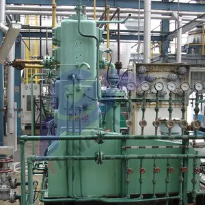 Prezzo industriale ad alta pressione nuovo compressore a idrogeno compressore a gas naturale a pistone a labirinto