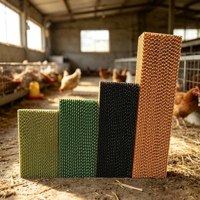 Nouvelle coussinets de refroidissement évaporatif en matériau papier haute efficacité pour poulaillers et fermes avicoles de poulets de chair