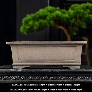 Magnifiques pots à fleurs rectangulaires faits à la main de style antique, en argile violette de Yixing, avec des motifs de bonsaï exquis. - Product Image 1