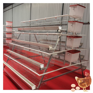 Batterie haute capacité, cages à poules, collecte automatique des œufs, équipement d'élevage avicole, longue durée de vie - Product Image 2