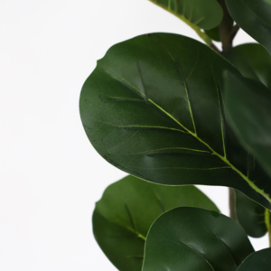 <strong>Fiddle</strong> <strong>Tree</strong> Hot Sale Artificial <strong>Fig</strong> Plants Plastic Ficus <strong>Trees</strong> <strong>Fiddle</strong> <strong>Tree</strong> - Product Image 5