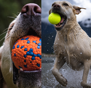 Giocattoli per animali domestici personalizzati ecologici giocattoli indistruttibili per cani da masticare per cani <span class=keywords><strong>di</strong></span> taglia grande - Product Image 5