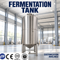 Cuve de Fermentation de Bière Tonsen 100L avec Contrôle PLC 220V 400V Certifiée CE – Équipement de Brassage Personnalisable
