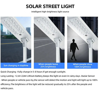 Lampu Jalan LED Tenaga Surya Otomatis Bersihkan Sendiri All in One dari Pabrik Sumber, Tahan Air IP65, Pembersih Salju, Penerangan Luar Ruangan