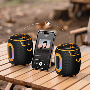 <span class=keywords><strong>Altavoz</strong></span> Inalámbrico Somostel H911 Dare to Listen, Venta al por Mayor de Fábrica - Product Image 4