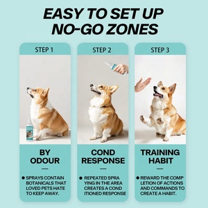 Spray d'entraînement anti-urination pour chats de haute qualité, moderne, respectueux de l'environnement, éloigne les chats, matériau plastique sans danger pour les chiens - Product Image 2