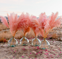 Herbe de la Pampa Colorée en Gros, Faite à la Main, 120 CM, pour Décoration d'Arche de Mariage et de Noël, Fleurs Préservées