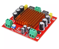 Carte d'amplificateur de puissance numérique monocanal haute performance TPA3116D2 150W avec module d'amplification audio 12V et 24V