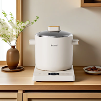 Smart Digital Multicuiseur CB CE Marmite électrique avec multifonction