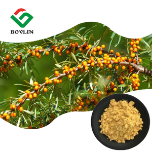 Makanan dan minuman beku bubuk buah Seabuckthorn kering bubuk <span class=keywords><strong>Buckthorn</strong></span> laut larut air - Product Image 3