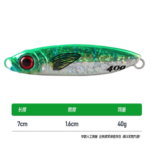 वेई 5 रंग 3 डी प्रिंटिंग जिगिंग lure 20g 30g 40g तट धातु मछली पकड़ने के लिए - Product Image 6