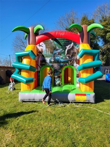 RY Comercial Castillo Hinchable Combinado de Dinosaurios para Niños y Adultos, Pequeño, con Zona de Salto y Tobogán - Product Image 4