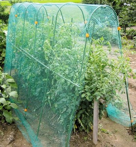 Serre tunnel de jardin haute en polyéthylène avec structure métallique, facile à assembler et écologique pour la culture de légumes et la protection des tomates - Product Image 5