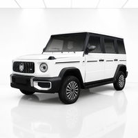 Fabricant chinois de mini-jeep électrique 4x4, petite voiture de tourisme écologique à émissions zéro pour les trajets de courte distance